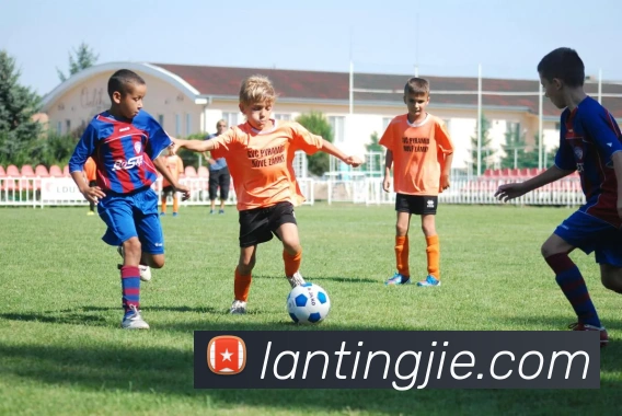 多媒体互动体验